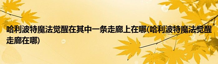 哈利波特魔法覺(jué)醒在其中一條走廊上在哪(哈利波特魔法覺(jué)醒走廊在哪)