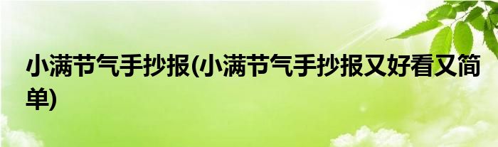 小滿節(jié)氣手抄報(bào)(小滿節(jié)氣手抄報(bào)又好看又簡(jiǎn)單)