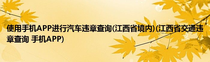 使用手機APP進行汽車違章查詢(江西省境內(nèi))(江西省交通違章查詢 手機APP)