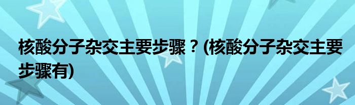 核酸分子雜交主要步驟？(核酸分子雜交主要步驟有)