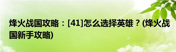 烽火戰(zhàn)國攻略：[41]怎么選擇英雄？(烽火戰(zhàn)國新手攻略)