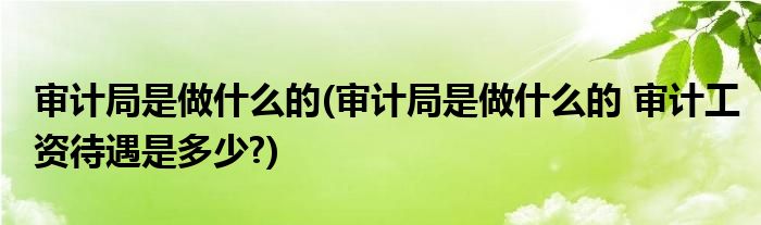 審計(jì)局是做什么的(審計(jì)局是做什么的 審計(jì)工資待遇是多少?)