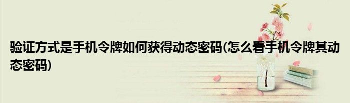 驗(yàn)證方式是手機(jī)令牌如何獲得動(dòng)態(tài)密碼(怎么看手機(jī)令牌其動(dòng)態(tài)密碼)