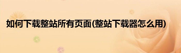 如何下載整站所有頁(yè)面(整站下載器怎么用)