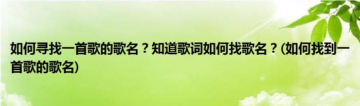 如何尋找一首歌的歌名？知道歌詞如何找歌名？(如何找到一首歌的歌名)