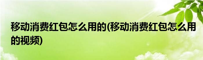 移動(dòng)消費(fèi)紅包怎么用的(移動(dòng)消費(fèi)紅包怎么用的視頻)