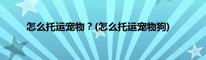 怎么托運(yùn)寵物？(怎么托運(yùn)寵物狗)