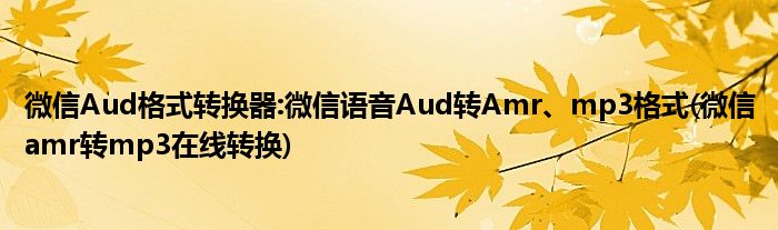 微信Aud格式轉(zhuǎn)換器:微信語(yǔ)音Aud轉(zhuǎn)Amr、mp3格式(微信amr轉(zhuǎn)mp3在線(xiàn)轉(zhuǎn)換)