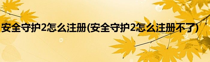 安全守護(hù)2怎么注冊(cè)(安全守護(hù)2怎么注冊(cè)不了)