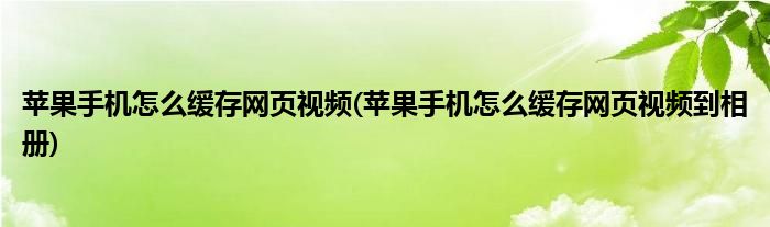 蘋果手機怎么緩存網(wǎng)頁視頻(蘋果手機怎么緩存網(wǎng)頁視頻到相冊)