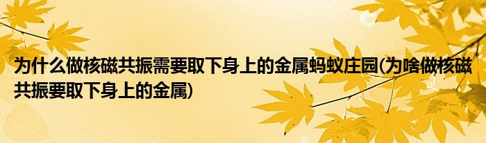 為什么做核磁共振需要取下身上的金屬螞蟻莊園(為啥做核磁共振要取下身上的金屬)