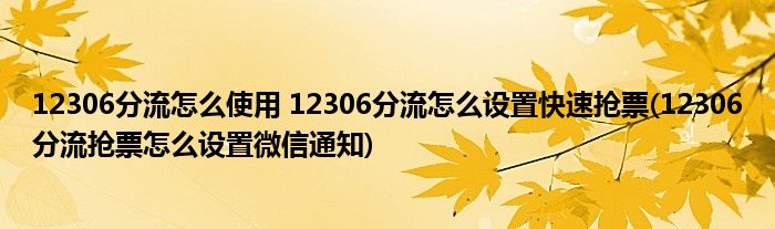 12306分流怎么使用 12306分流怎么設置快速搶票(12306分流搶票怎么設置微信通知)