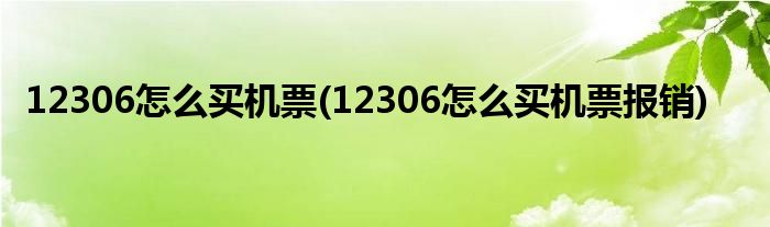 12306怎么買機票(12306怎么買機票報銷)