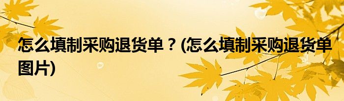 怎么填制采購?fù)素泦危?怎么填制采購?fù)素泦螆D片)