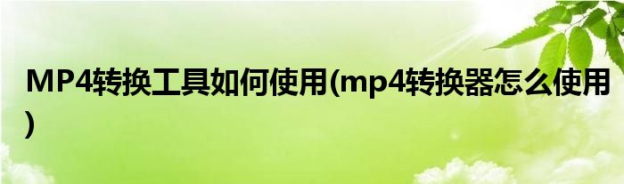 MP4轉(zhuǎn)換工具如何使用(mp4轉(zhuǎn)換器怎么使用)