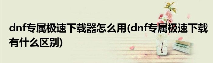 dnf專屬極速下載器怎么用(dnf專屬極速下載有什么區(qū)別)