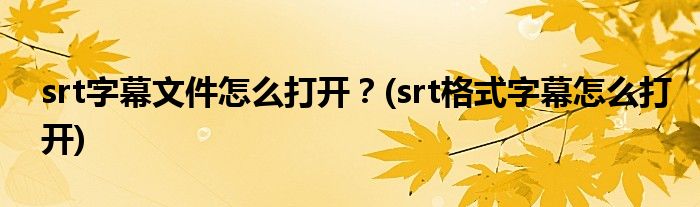 srt字幕文件怎么打開(kāi)？(srt格式字幕怎么打開(kāi))