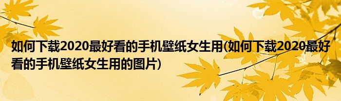 如何下載2020最好看的手機(jī)壁紙女生用(如何下載2020最好看的手機(jī)壁紙女生用的圖片)