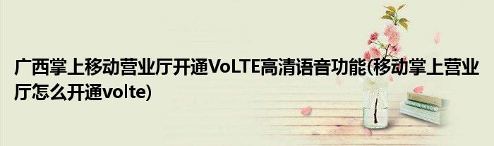 廣西掌上移動(dòng)營(yíng)業(yè)廳開(kāi)通VoLTE高清語(yǔ)音功能(移動(dòng)掌上營(yíng)業(yè)廳怎么開(kāi)通volte)