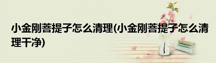 小金剛菩提子怎么清理(小金剛菩提子怎么清理干凈)