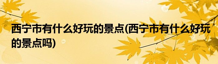 西寧市有什么好玩的景點(西寧市有什么好玩的景點嗎)