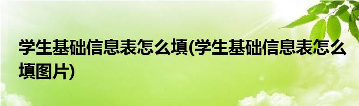 學生基礎信息表怎么填(學生基礎信息表怎么填圖片)