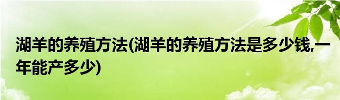 湖羊的養(yǎng)殖方法(湖羊的養(yǎng)殖方法是多少錢,一年能產(chǎn)多少)