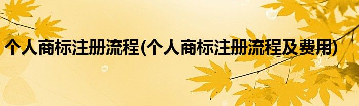 個(gè)人商標(biāo)注冊(cè)流程(個(gè)人商標(biāo)注冊(cè)流程及費(fèi)用)