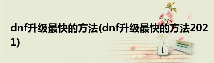 dnf升級(jí)最快的方法(dnf升級(jí)最快的方法2021)
