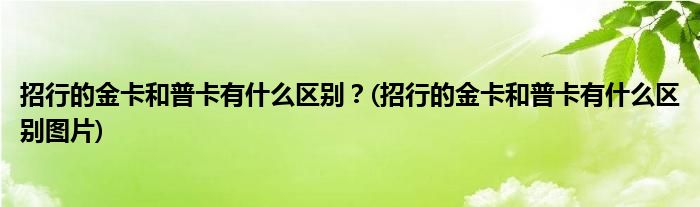 招行的金卡和普卡有什么區(qū)別？(招行的金卡和普卡有什么區(qū)別圖片)