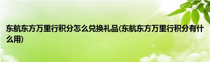 東航東方萬里行積分怎么兌換禮品(東航東方萬里行積分有什么用)