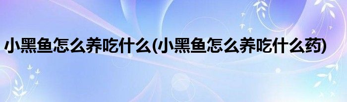 小黑魚怎么養(yǎng)吃什么(小黑魚怎么養(yǎng)吃什么藥)