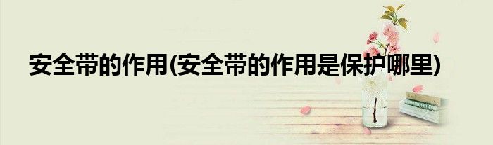 安全帶的作用(安全帶的作用是保護(hù)哪里)