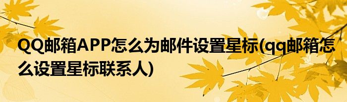 QQ郵箱APP怎么為郵件設(shè)置星標(biāo)(qq郵箱怎么設(shè)置星標(biāo)聯(lián)系人)