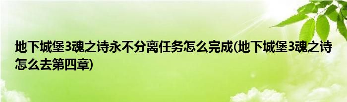 地下城堡3魂之詩永不分離任務怎么完成(地下城堡3魂之詩怎么去第四章)