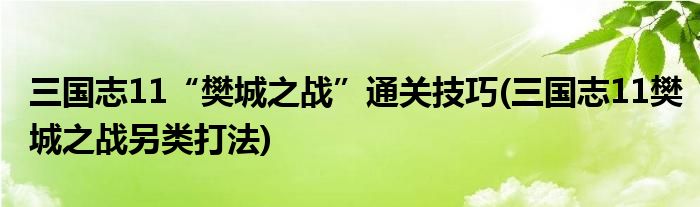 三國志11“樊城之戰(zhàn)”通關技巧(三國志11樊城之戰(zhàn)另類打法)