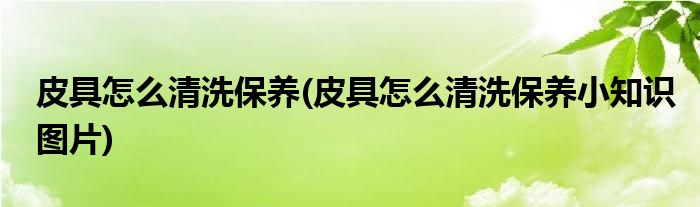 皮具怎么清洗保養(yǎng)(皮具怎么清洗保養(yǎng)小知識(shí)圖片)