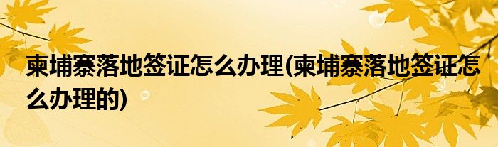 柬埔寨落地簽證怎么辦理(柬埔寨落地簽證怎么辦理的)