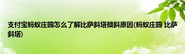 支付寶螞蟻莊園怎么了解比薩斜塔傾斜原因(螞蟻莊園 比薩斜塔)