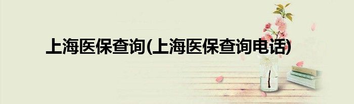 上海醫(yī)保查詢(上海醫(yī)保查詢電話)