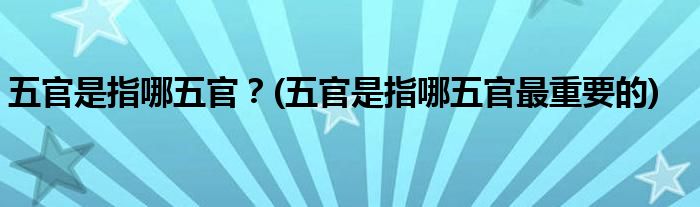 五官是指哪五官？(五官是指哪五官最重要的)