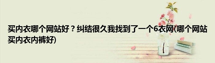 買內(nèi)衣哪個(gè)網(wǎng)站好？糾結(jié)很久我找到了一個(gè)6衣網(wǎng)(哪個(gè)網(wǎng)站買內(nèi)衣內(nèi)褲好)