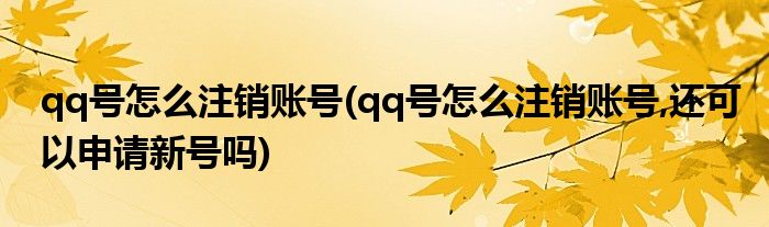 qq號怎么注銷賬號(qq號怎么注銷賬號,還可以申請新號嗎)