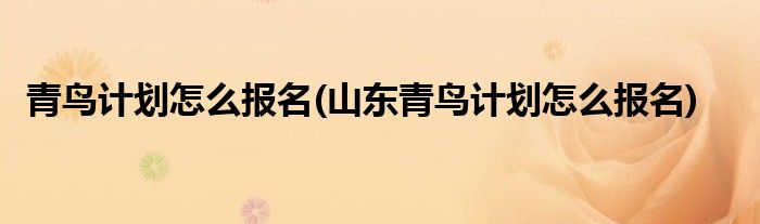 青鳥計劃怎么報名(山東青鳥計劃怎么報名)