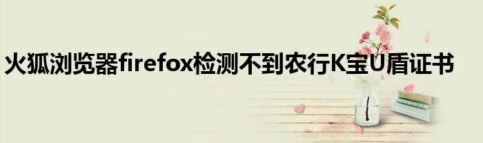 火狐瀏覽器firefox檢測不到農(nóng)行K寶U盾證書