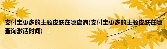 支付寶更多的主題皮膚在哪查詢(支付寶更多的主題皮膚在哪查詢激活時(shí)間)