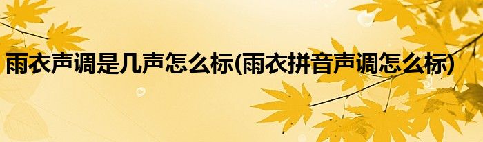 雨衣聲調(diào)是幾聲怎么標(雨衣拼音聲調(diào)怎么標)