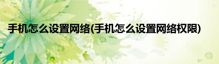 手機怎么設(shè)置網(wǎng)絡(luò)(手機怎么設(shè)置網(wǎng)絡(luò)權(quán)限)