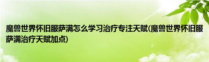 魔獸世界懷舊服薩滿(mǎn)怎么學(xué)習(xí)治療專(zhuān)注天賦(魔獸世界懷舊服薩滿(mǎn)治療天賦加點(diǎn))