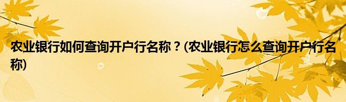 農(nóng)業(yè)銀行如何查詢開戶行名稱？(農(nóng)業(yè)銀行怎么查詢開戶行名稱)